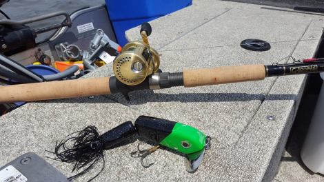 13718779_1356883754326494_4014009947311268870_n