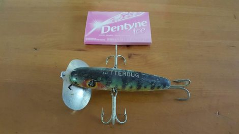 13728960_1356883734326496_3043739663039409825_n