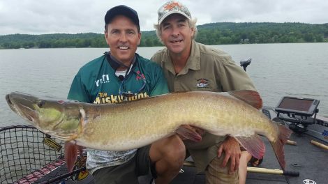 14021680_1388140317867504_7986473211118136588_n