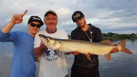 14440710_1418486021499600_6824281941295109285_n