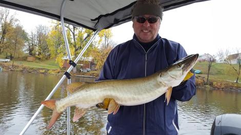 15036726_1470151059666429_1304594758945233550_n