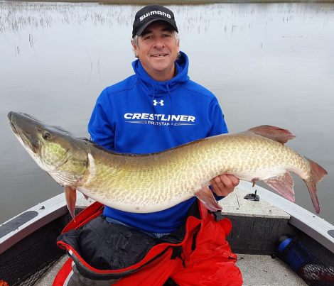 15107398_1483809794967222_1619370684642878582_n