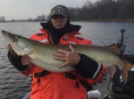 16114606_1558423700839164_5263485196841601151_n