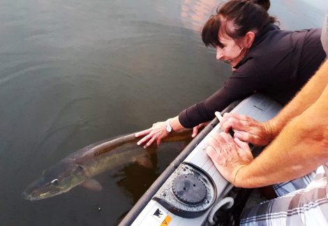 16142566_1558423454172522_7330641110869303316_n