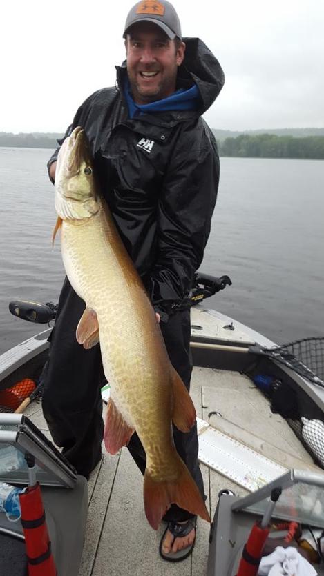 16195117_1558423704172497_3546092355500801601_n