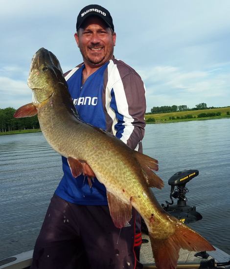 16196078_1558423404172527_2653841183947047270_n