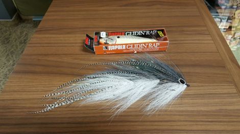 18058149_1670036459677887_8224966349338619879_n